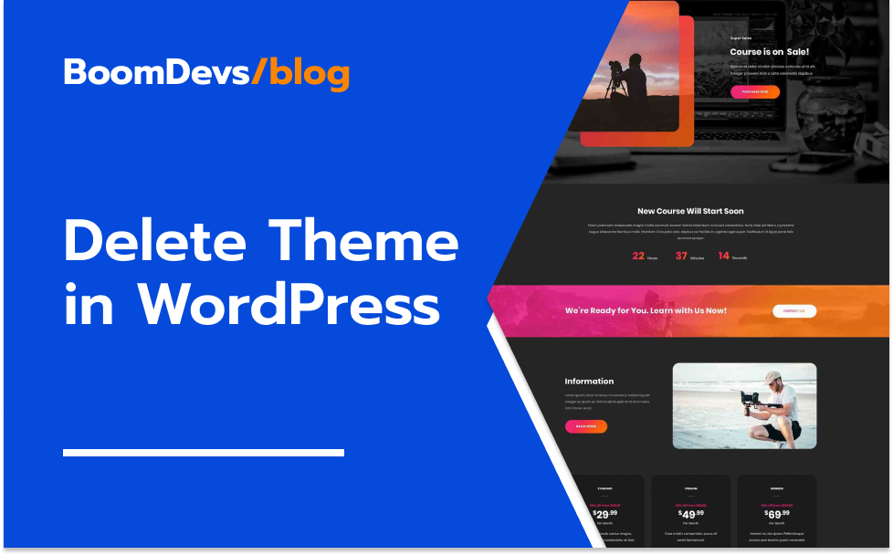 How to Delete Themes in WordPress