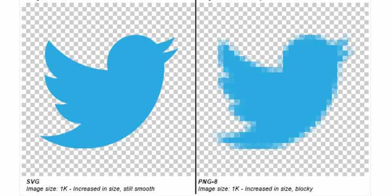 Is SVG Better Than PNG For a Website